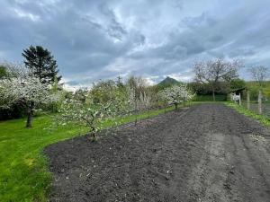 Prodej rodinného domu, Třebenice, Sv. Čecha, 240 m2