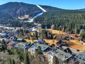 Prodej bytu 1+kk, Harrachov, 34 m2
