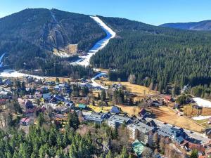 Prodej bytu 1+kk, Harrachov, 34 m2