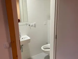 Pronájem bytu 1+kk, Praha - Střešovice, Parléřova, 21 m2