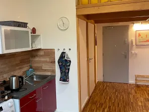 Pronájem bytu 1+kk, Praha - Střešovice, Parléřova, 21 m2