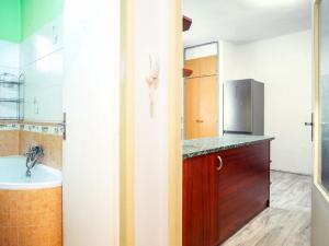 Prodej bytu 2+kk, Plzeň - Východní Předměstí, Guldenerova, 48 m2