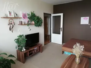 Pronájem bytu 1+1, Uherský Brod, 40 m2