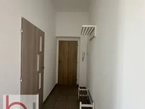 Pronájem bytu 1+1, České Budějovice, Matice školské, 38 m2