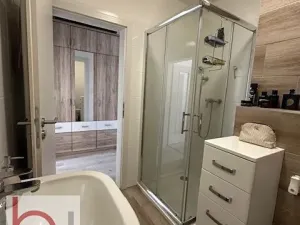 Pronájem bytu 1+kk, České Budějovice, Volejbalistů, 38 m2