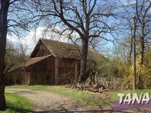 Prodej zemědělské usedlosti, Kobyly, 550 m2