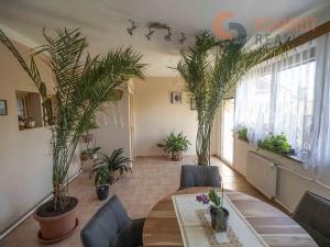 Prodej rodinného domu, Hrušovany nad Jevišovkou, Drnholecká, 160 m2