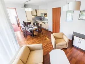 Pronájem bytu 2+kk, Praha - Nové Město, Horská, 67 m2