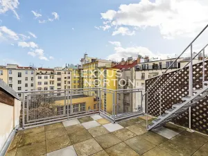 Pronájem atypického bytu, Praha - Vinohrady, Anny Letenské, 170 m2