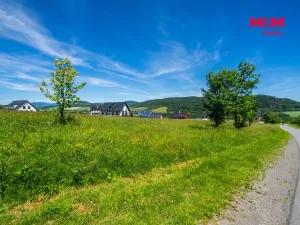 Prodej pozemku pro bydlení, Červená Voda, 1251 m2
