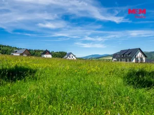 Prodej pozemku pro bydlení, Červená Voda, 1251 m2