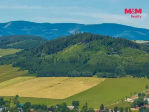 Prodej pozemku pro bydlení, Červená Voda, 1251 m2