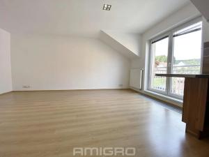 Prodej bytu 2+kk, Brno, Nálepkova, 67 m2