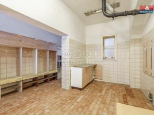 Prodej výrobních prostor, Karlovy Vary - Doubí, Studentská, 1923 m2