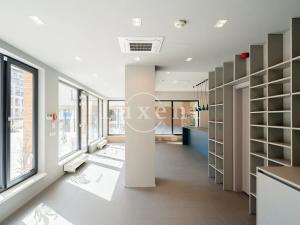 Pronájem obchodního prostoru, Praha - Dejvice, Lindleyova, 114 m2
