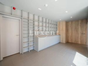 Pronájem obchodního prostoru, Praha - Dejvice, Lindleyova, 114 m2