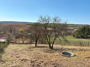 Prodej pozemku pro bydlení, Nové Bránice, 4162 m2