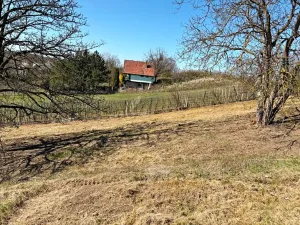 Prodej pozemku pro bydlení, Nové Bránice, 4162 m2