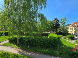 Pronájem bytu 2+1, Praha - Smíchov, K Závěrce, 66 m2
