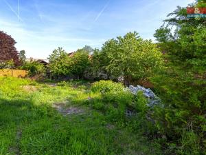 Prodej rodinného domu, Sezemice, Komenského, 38 m2