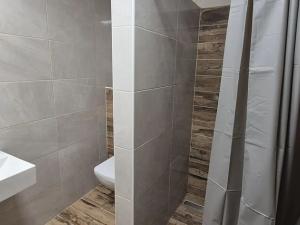 Pronájem pokoje, Česká Lípa, Erbenova, 25 m2