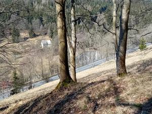 Prodej chaty, Jáchymov, tř. Čs. armády, 203 m2