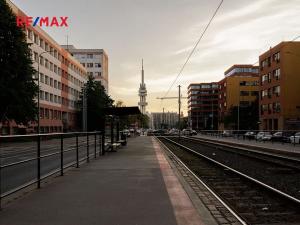Prodej bytu 1+kk, Praha - Žižkov, Olšanská, 35 m2