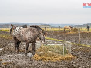 Prodej rodinného domu, Holubice, Na Návsi, 125 m2