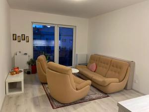 Pronájem bytu 1+kk, Olomouc, Wolkerova, 30 m2