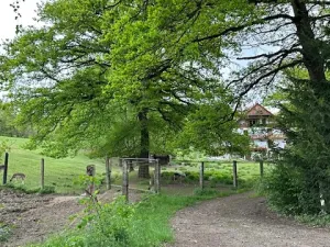 Prodej pozemku pro bydlení, Slapy, 609 m2