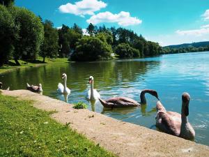 Prodej chaty, Jedovnice, 52 m2