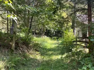 Prodej lesa, Nýdek, 14483 m2