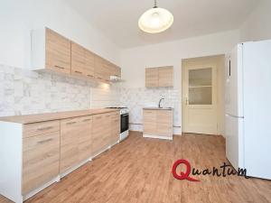 Pronájem bytu 1+1, Praha - Vinohrady, U vinohradské nemocnice, 53 m2