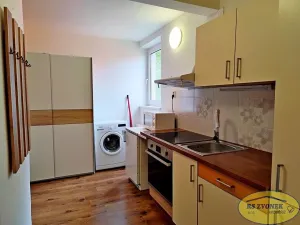 Pronájem bytu 1+1, Horka nad Moravou, Sadová, 25 m2