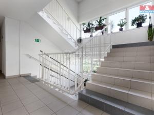 Prodej bytu 3+kk, Ostrava - Nová Bělá, Kaminského, 91 m2
