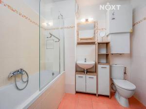 Pronájem bytu 2+kk, Nová Ves, Nad Obcí, 51 m2