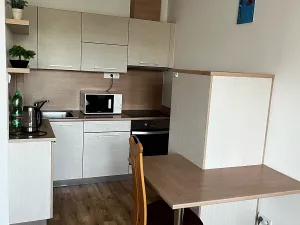 Pronájem bytu 1+kk, Uherské Hradiště, Slovácká, 32 m2