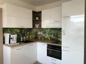 Pronájem bytu 2+kk, Brno, Novoměstská, 36 m2