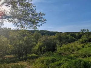 Prodej pozemku pro bydlení, Březnice, 1000 m2