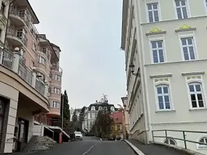 Prodej bytu 2+kk, Karlovy Vary, Zámecký vrch, 42 m2