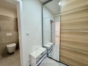 Pronájem bytu 1+kk, Brno, Křenová, 30 m2