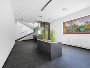 Pronájem bytu 1+kk, Plzeň - Severní Předměstí, Bolevecká, 40 m2