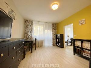 Pronájem bytu 2+kk, Brno, Lipská, 54 m2