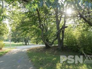 Prodej bytu 3+kk, Praha - Břevnov, Pod Drinopolem, 72 m2