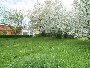 Prodej rodinného domu, Otice, Slavkovská, 123 m2