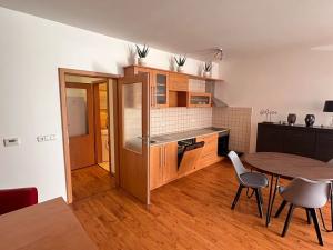 Pronájem bytu 2+kk, České Budějovice, U Lučního jezu, 56 m2