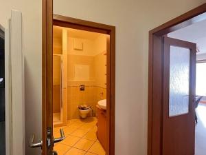 Pronájem bytu 2+kk, České Budějovice, U Lučního jezu, 56 m2