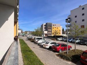 Pronájem bytu 2+kk, České Budějovice, U Lučního jezu, 56 m2