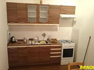Pronájem pokoje, Brno, Malinovského náměstí, 10 m2