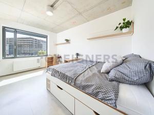 Pronájem bytu 1+kk, Brno, Dornych, 24 m2